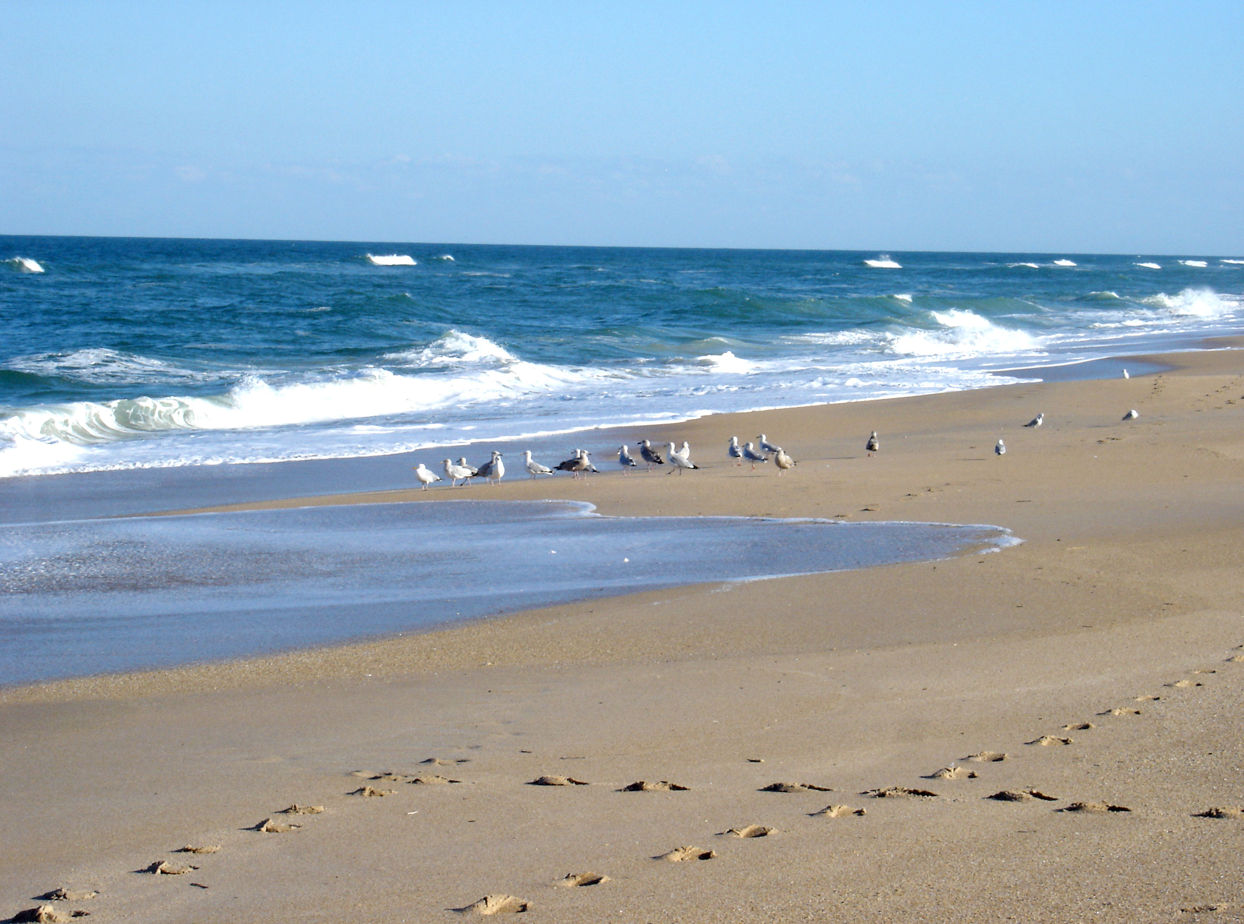 Canaveral National Seashore.