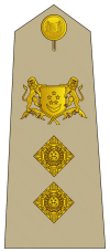 File:Colonel 1965-1983 (Singapore Army OF-5).gif