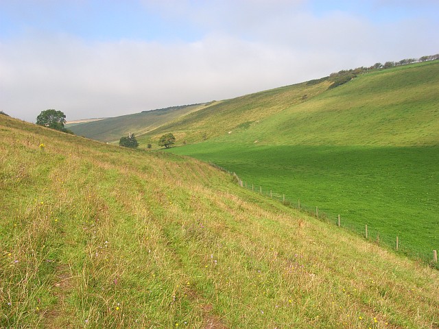 File:Compton Bottom - geograph.org.uk - 551788.jpg