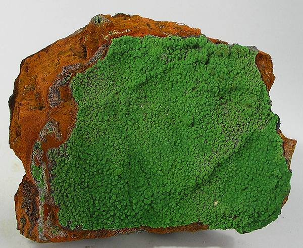 File:Conichalcite-157162.jpg