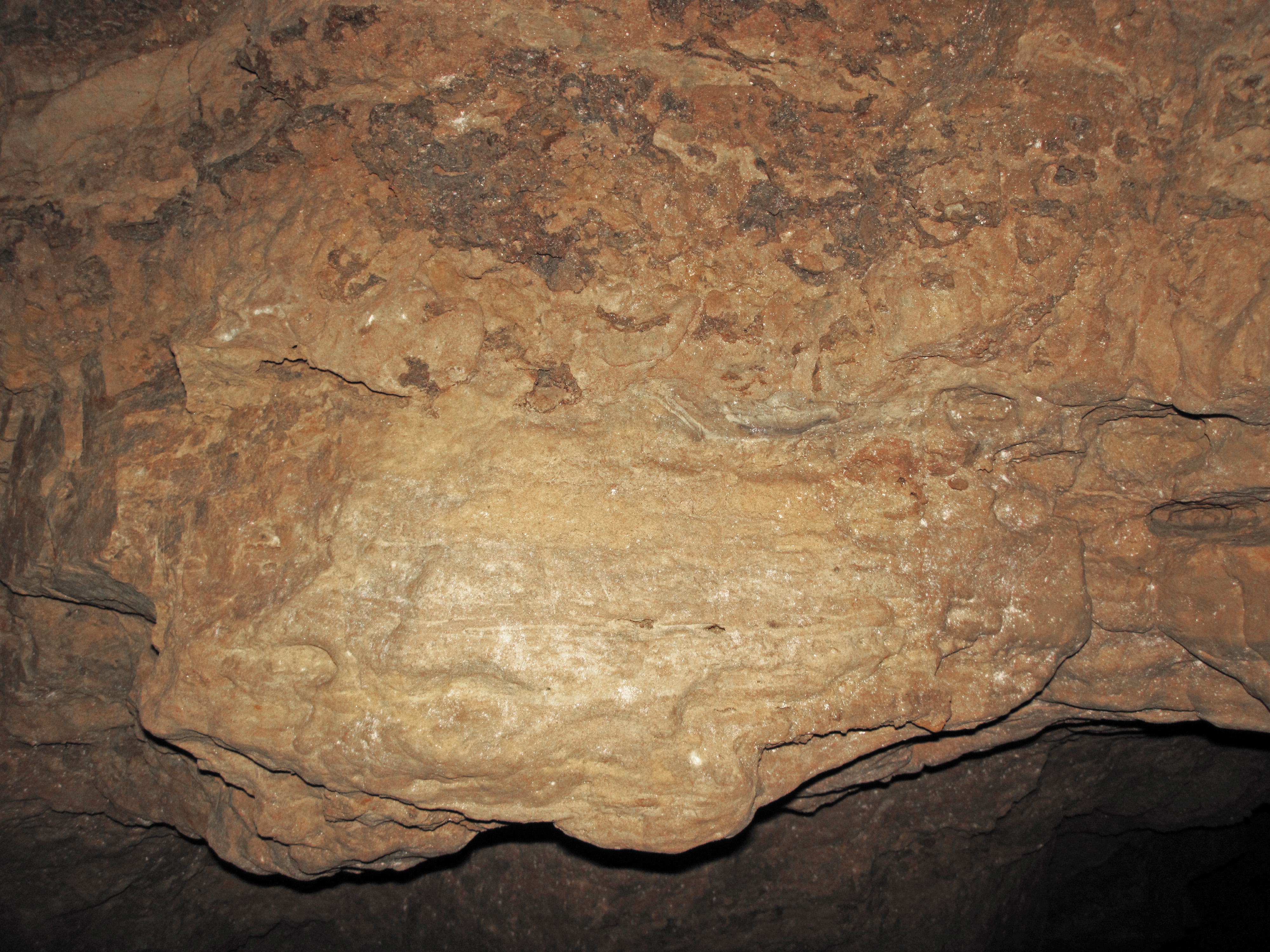 File Dolostone Cave Wall Prairie Du Chien Group Ordovician Upper   Dolostone Cave Wall (Prairie Du Chien Group, Ordovician; Upper Level Of Crystal Cave, Near Spring Valley, Wisconsin, USA) 1 (18321882913) 