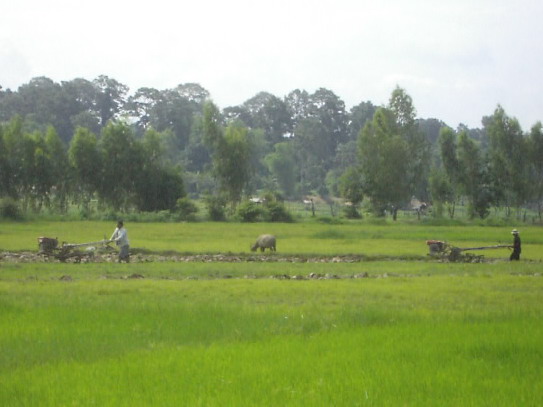 File:E-Tak and Buffalo.JPG