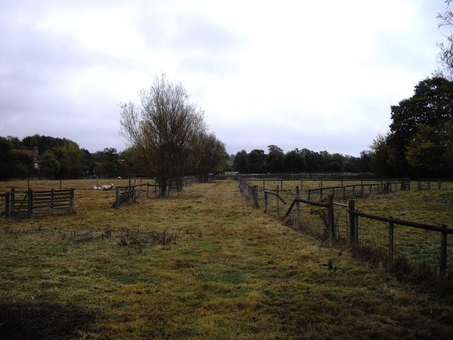 File:Farmland of Mill Lane Dedham - geograph.org.uk - 1554034.jpg