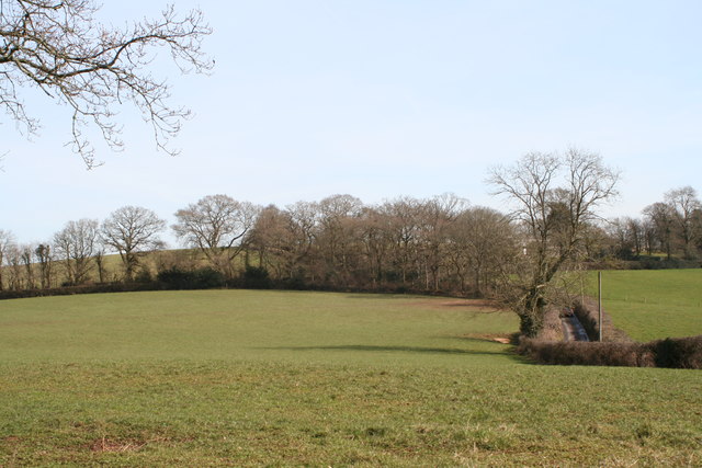 File:Field at the end of College Lane - geograph.org.uk - 1743445.jpg