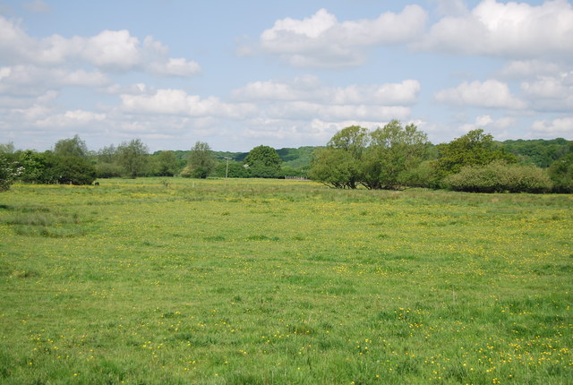 File:Flodplain of the River Rother - geograph.org.uk - 3631719.jpg