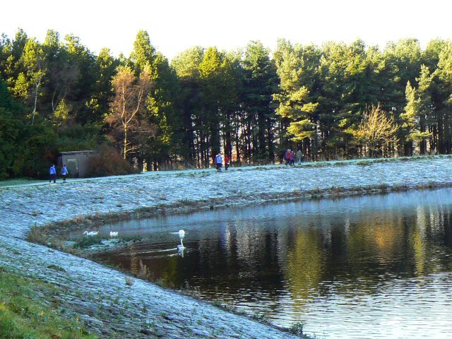 Frosty dam wall - geograph.org.uk - 1597926