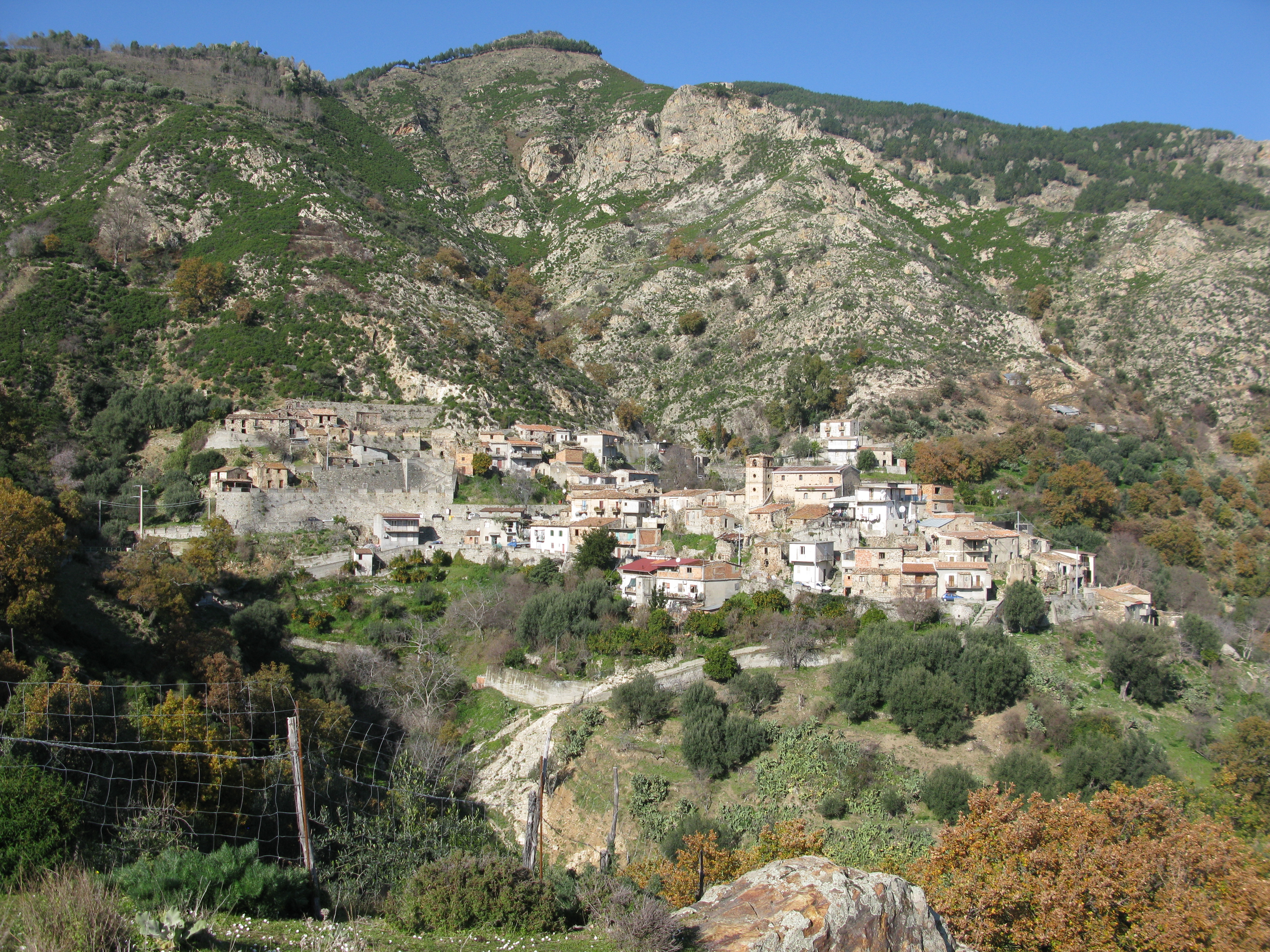 Antenato  Reggio di Calabria