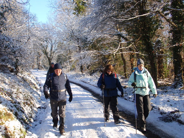 File:Heol Alltyferin Road - geograph.org.uk - 4083795.jpg