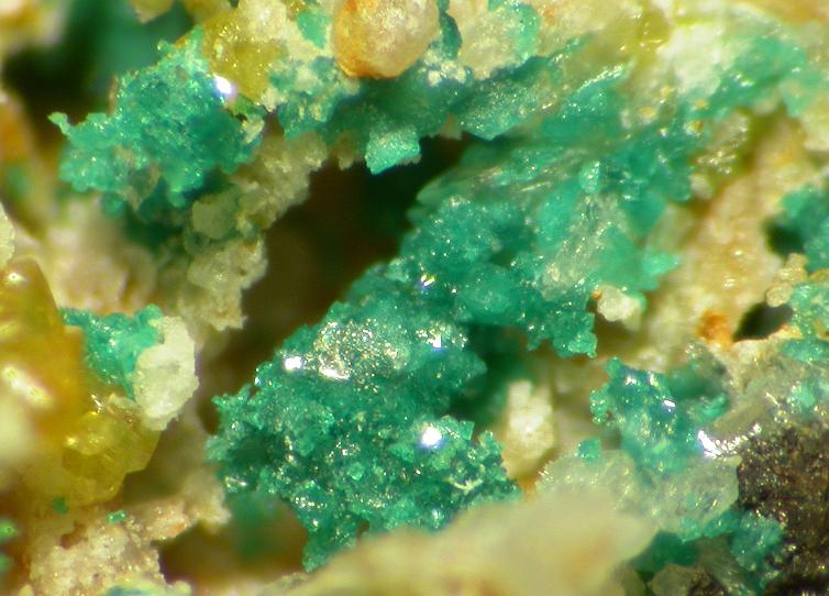 File:Herbertsmithite-Wulfenite-263923.jpg