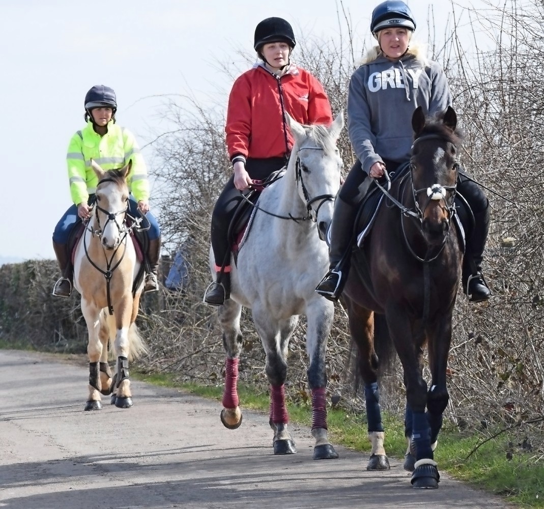 Competitive Trail Riding / Endurance Riding