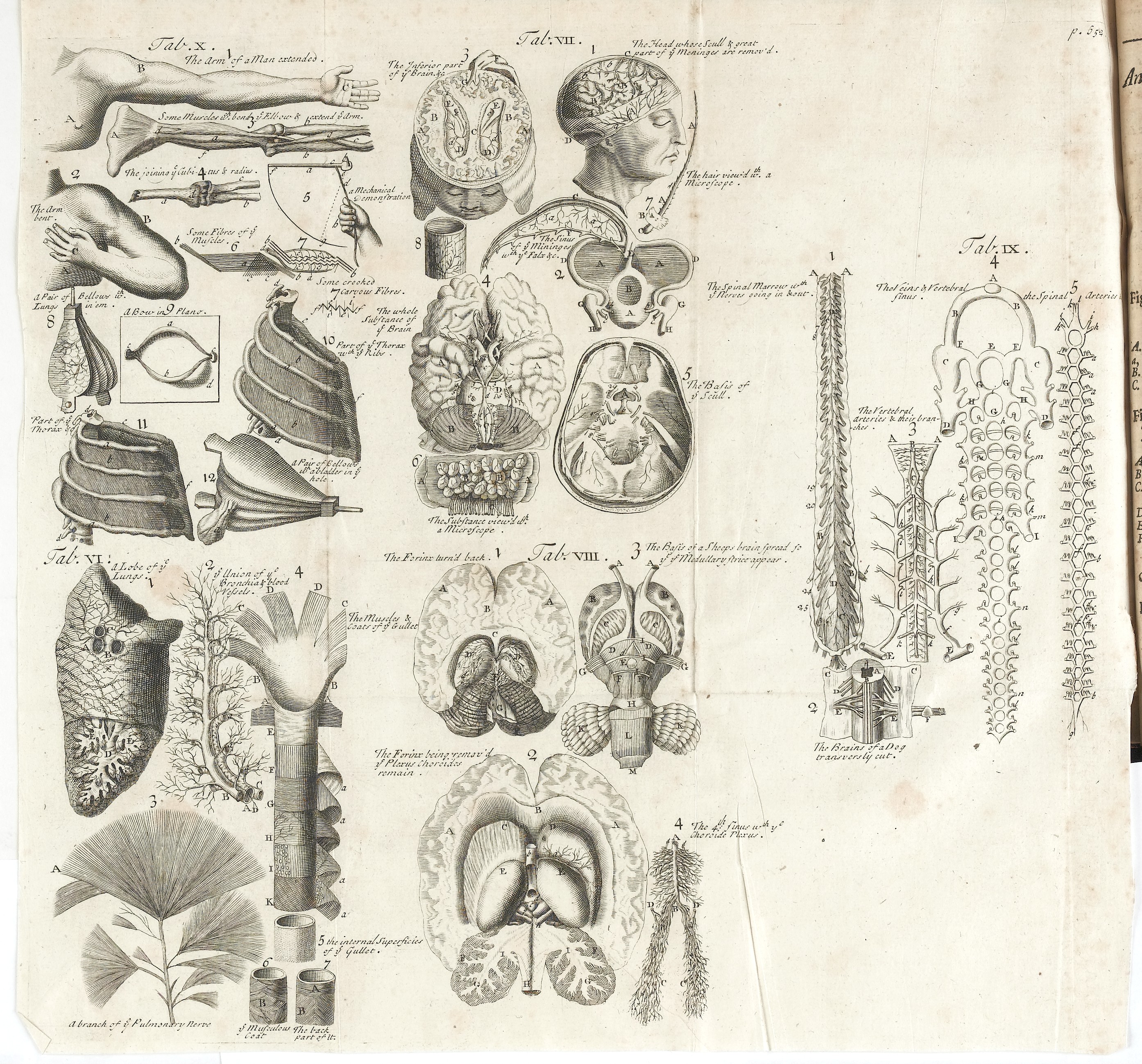 Internal parts