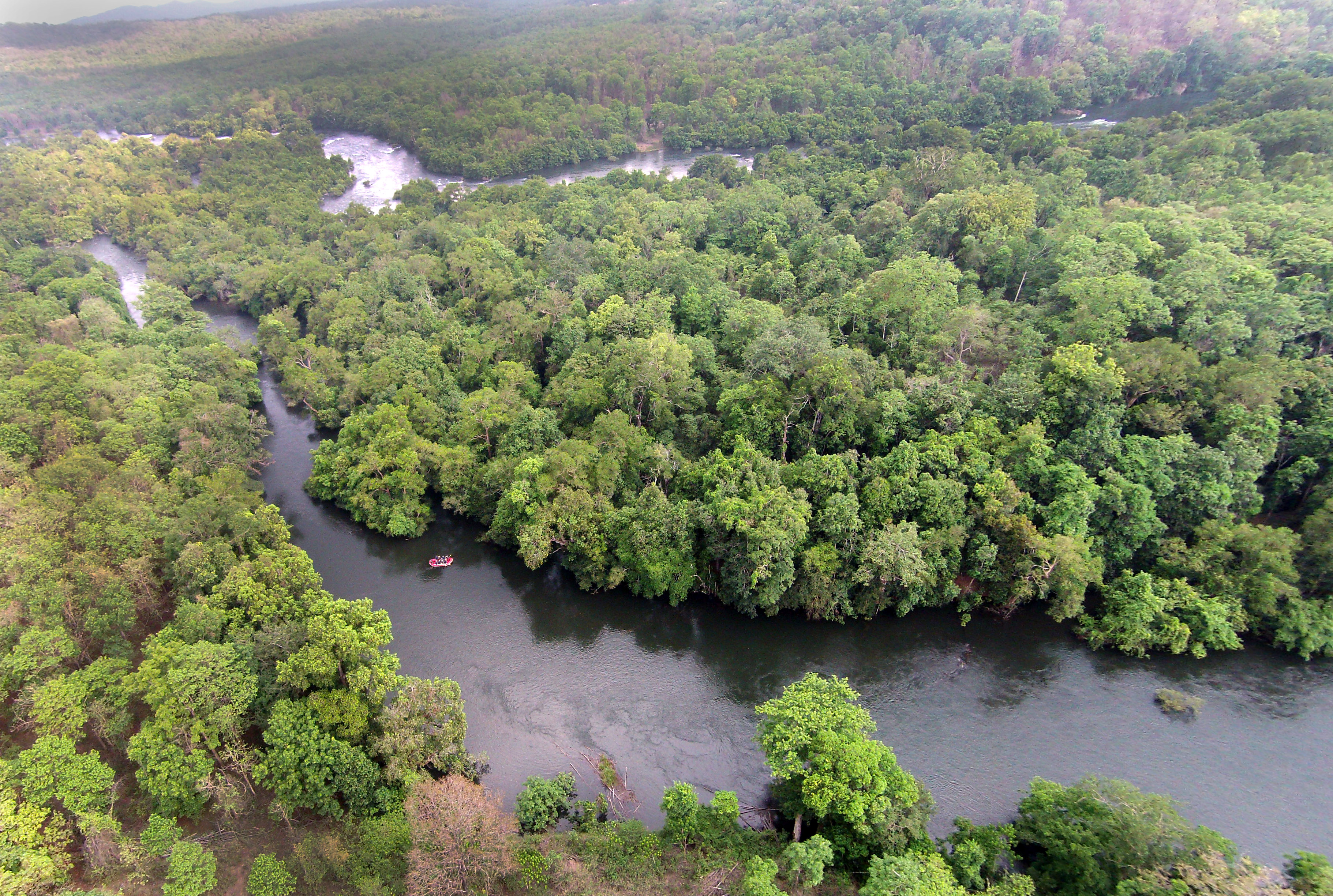 Kali Tiger Reserve or Dandeli-Anshi Tiger Reserve