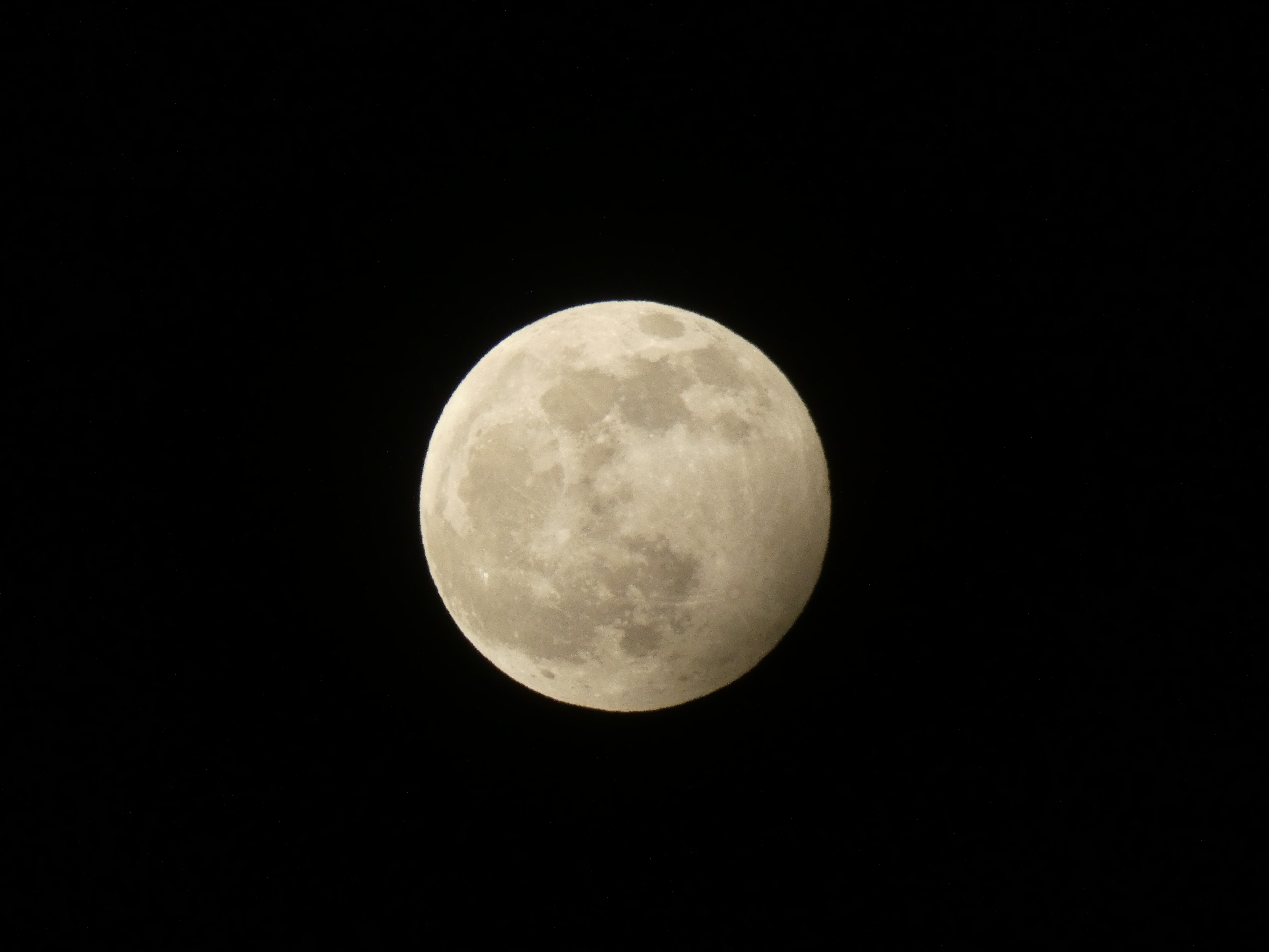 Соединение белой луны. Фото Луны. Луна полнолуние. Белая Луна. Луна в высоком разрешении.