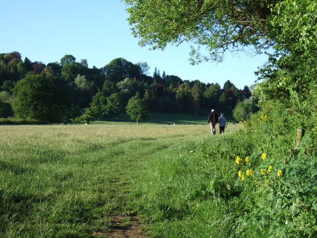 File:Meadow near the Axe - geograph.org.uk - 440524.jpg