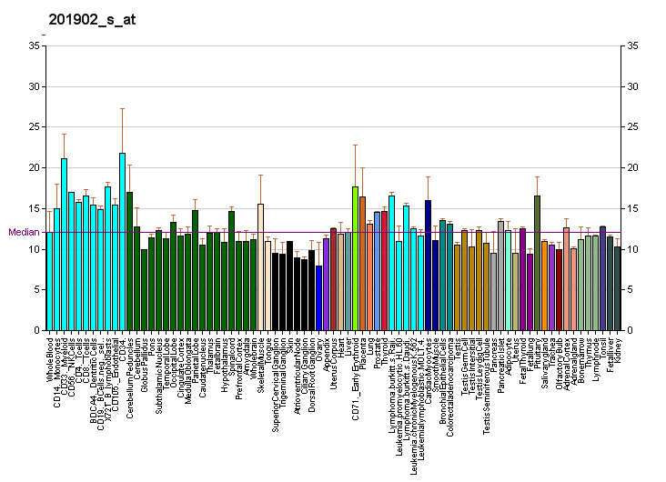 File:PBB GE YY1 201902 s at fs.png