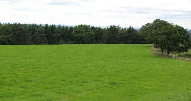 File:Pasture and woodland near Hillfield Farm - geograph.org.uk - 490356.jpg