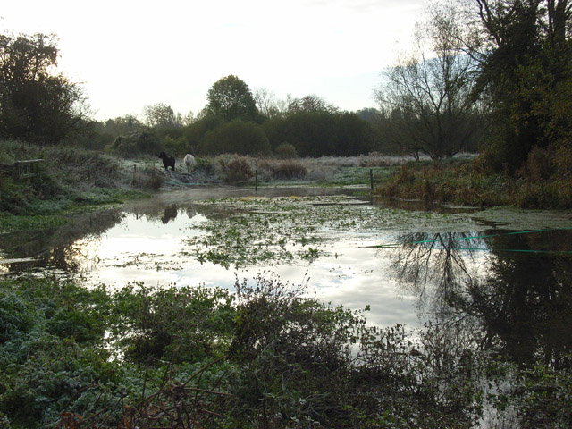 File:River Lambourn - geograph.org.uk - 273496.jpg