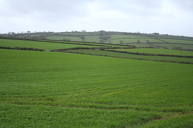 File:Sampford Courtenay, near Langmead Farm - geograph.org.uk - 335849.jpg