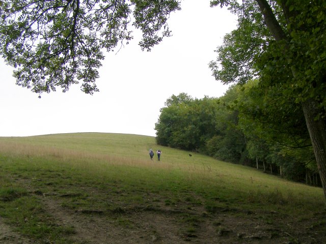 File:Steep path up the northwest slope of Hod Hill - geograph.org.uk - 242152.jpg