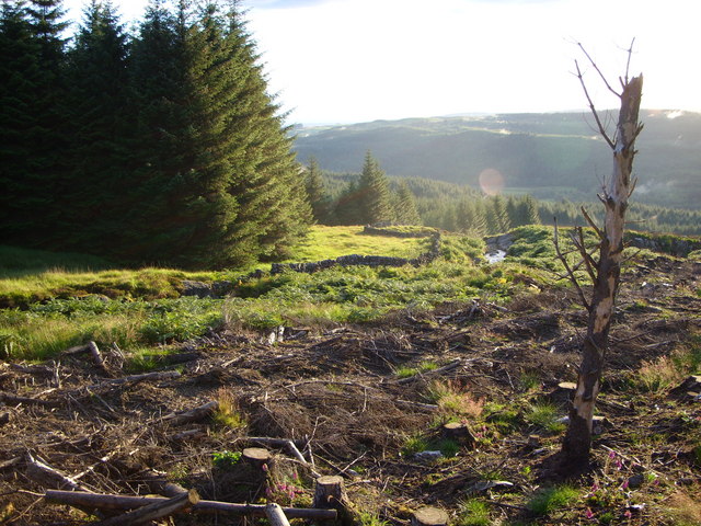 File:The Louran burn making its way downhill to the Palnure Burn - geograph.org.uk - 507298.jpg