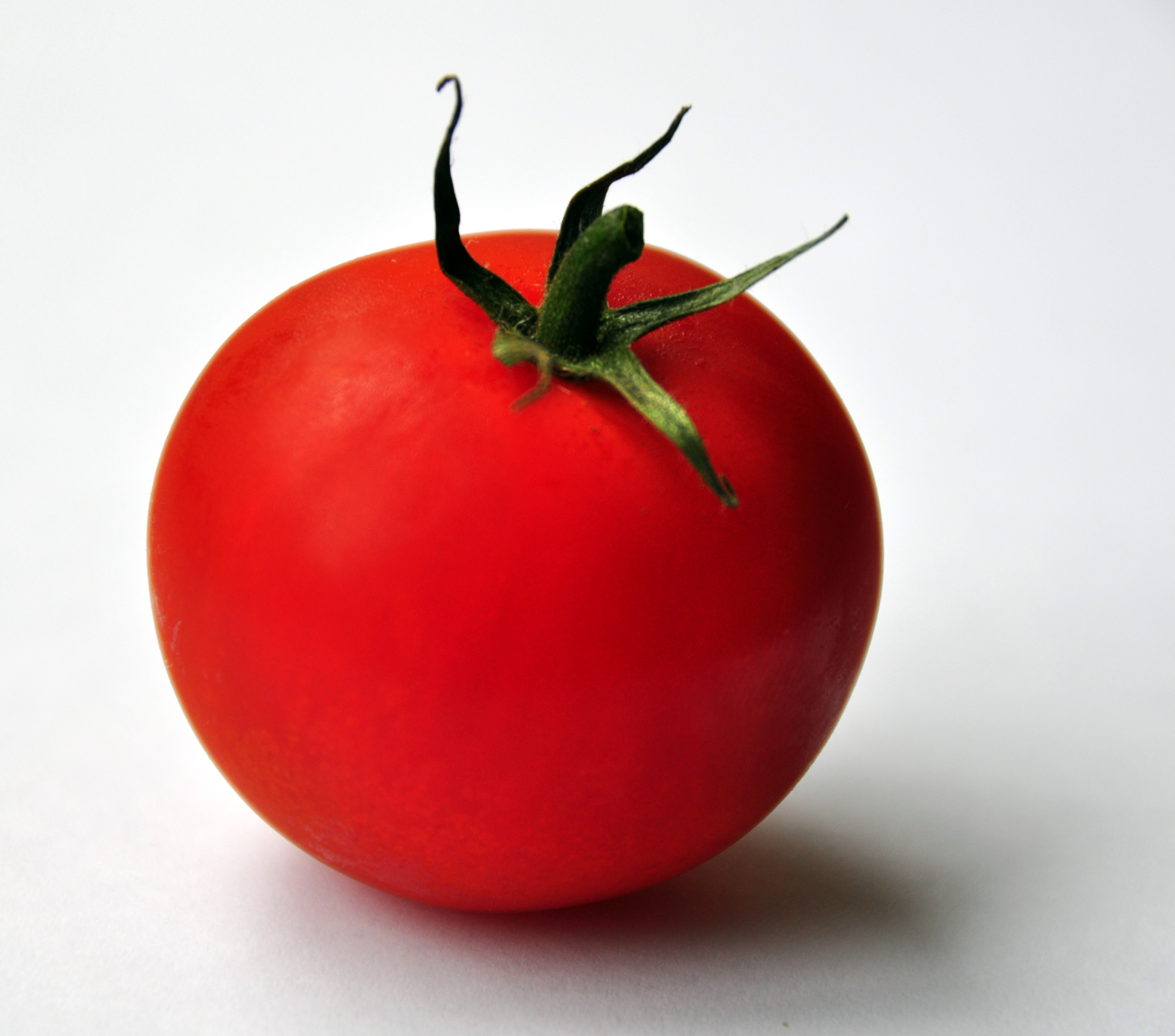 Category:Tomatoes - Wikimedia Commons