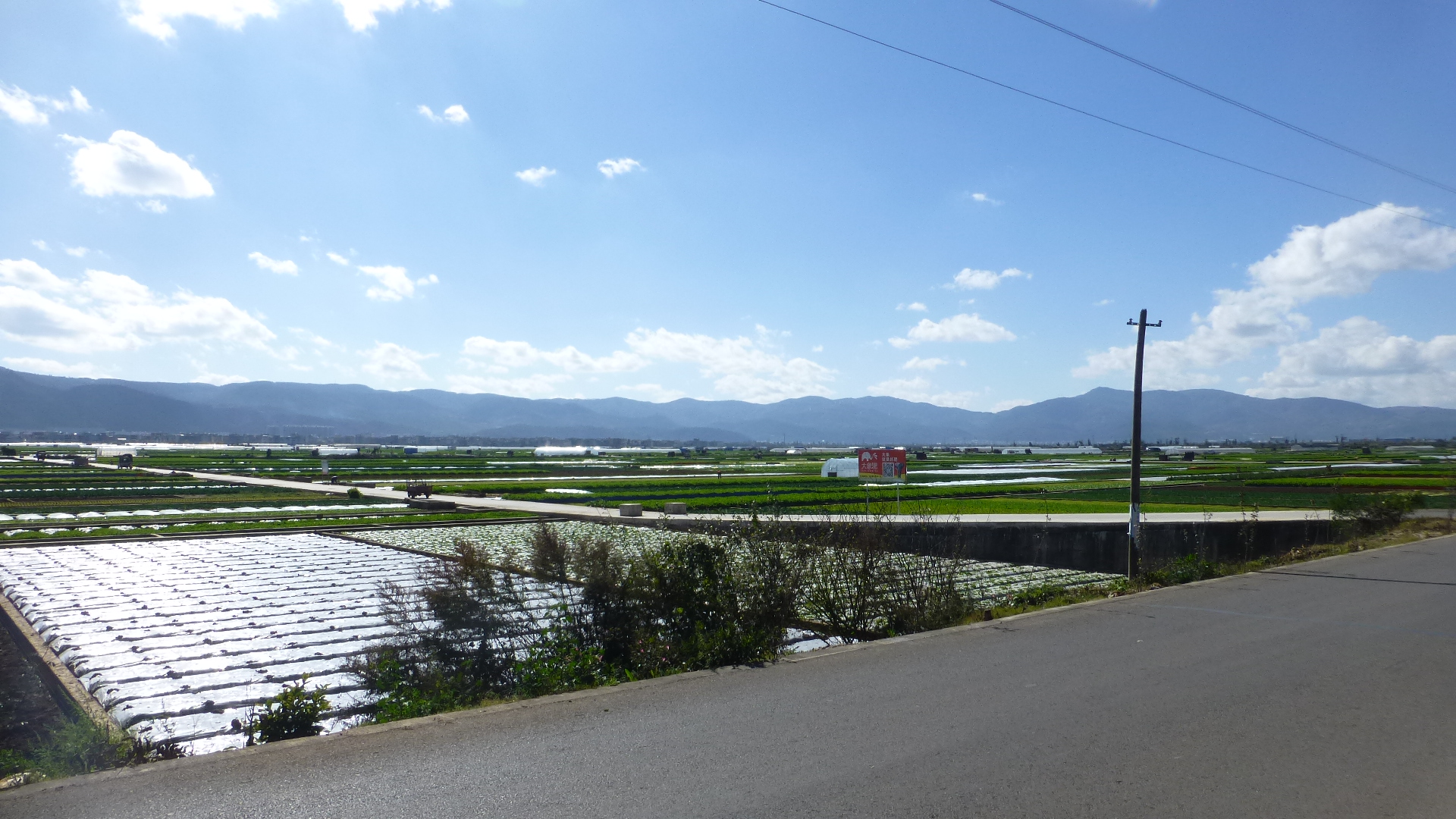 Lake fields