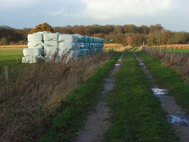 File:Track and silage bales, Hailey - geograph.org.uk - 627261.jpg