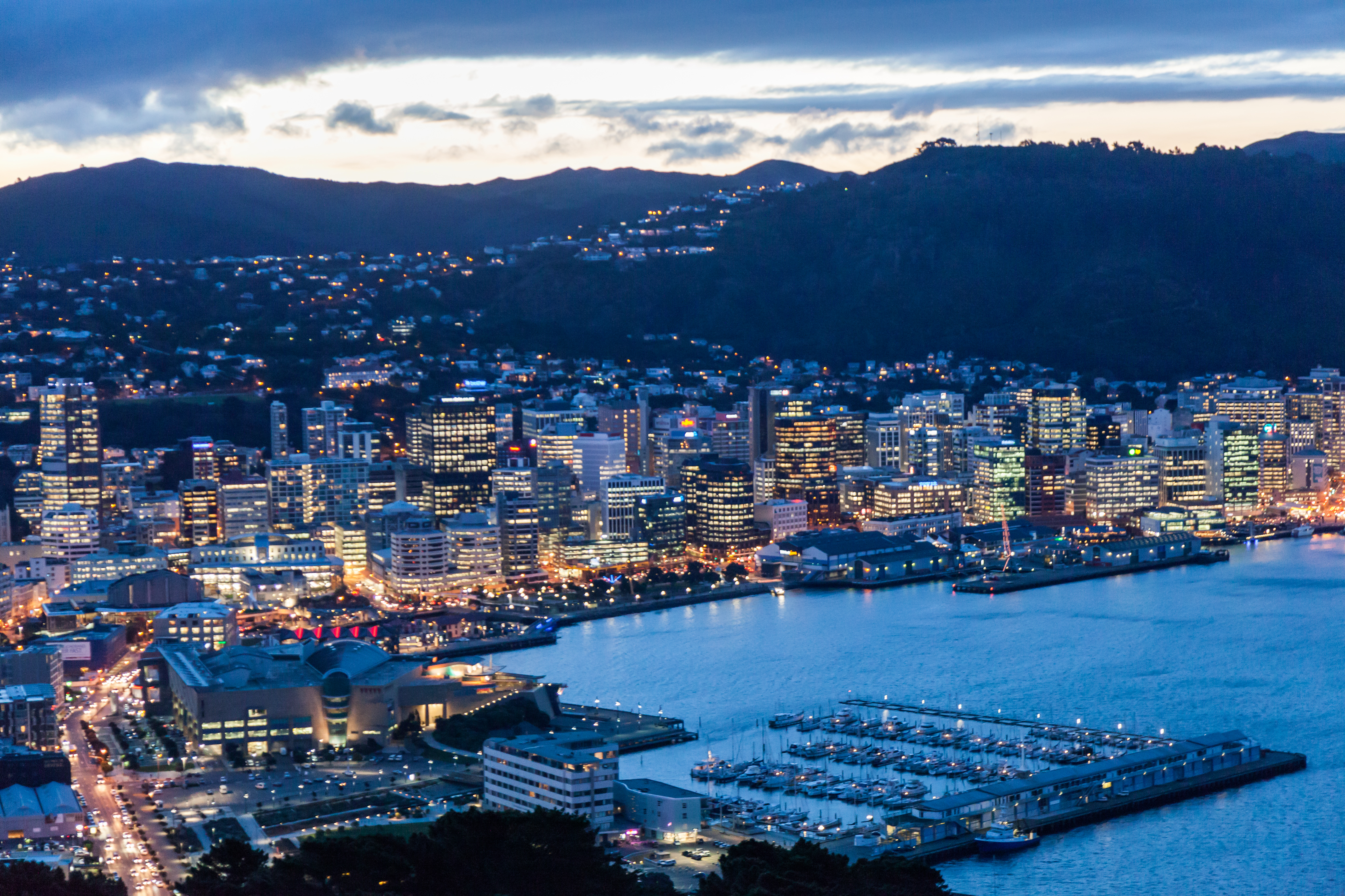 Wellington new zealand