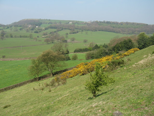 White Ley Bank, Fulstone - geograph.org.uk - 169783