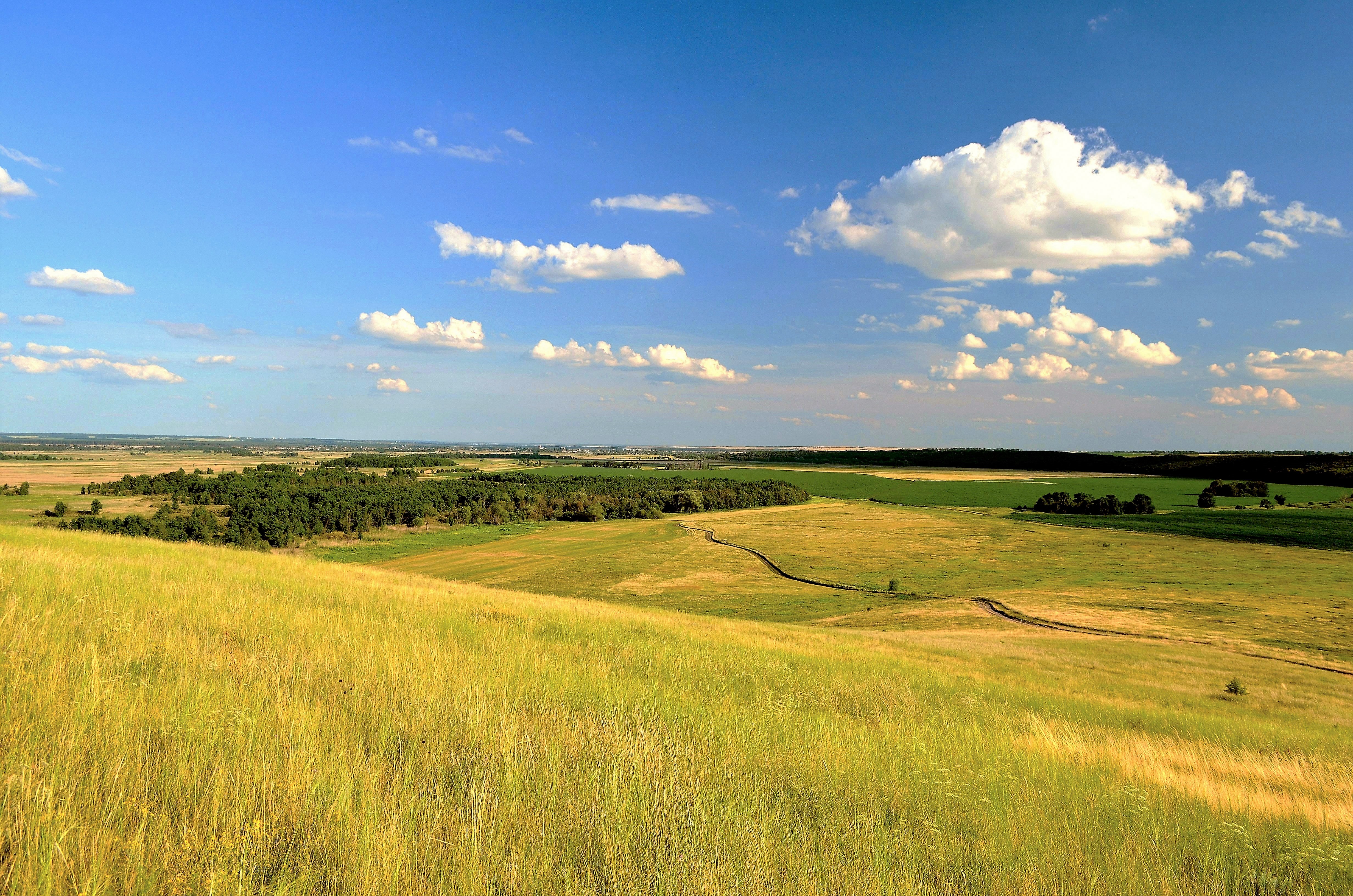 Луг лысая гора