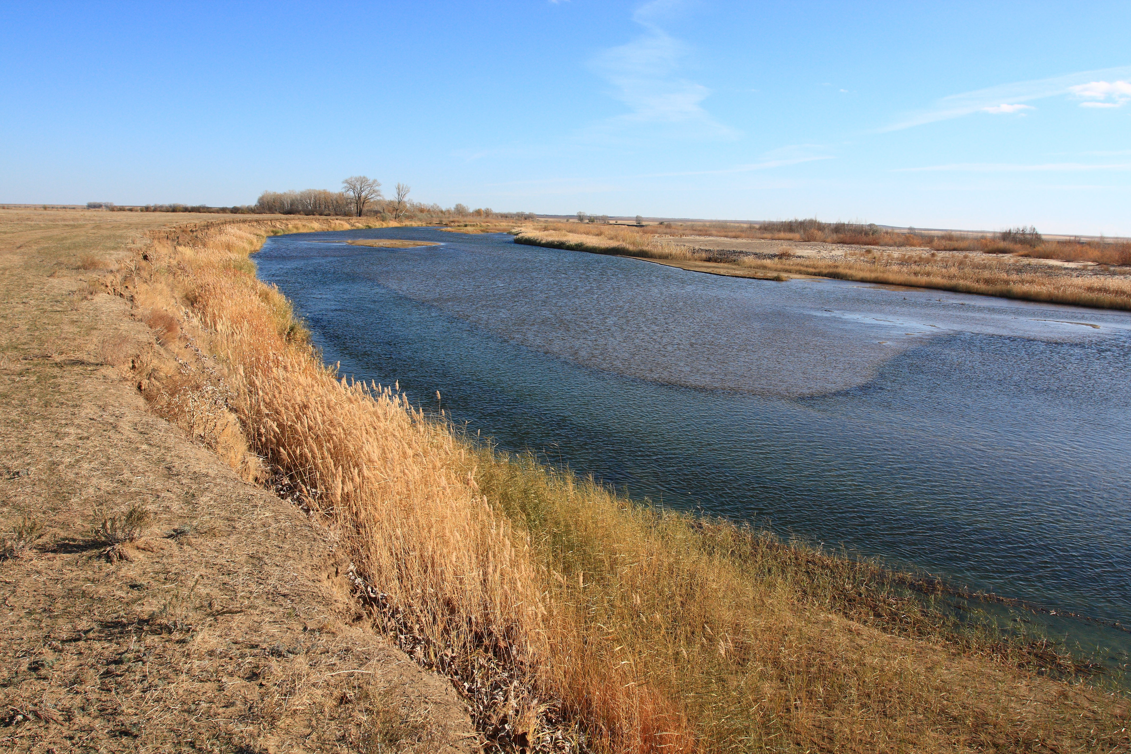 Вода пришла в илек