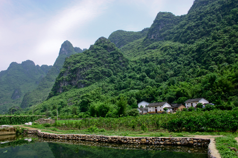 File:小青山乡村之旅 - panoramio (9).jpg