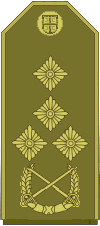 File:3 kov - general pukovnik.gif