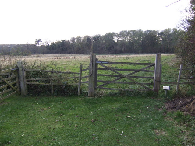 Access to Weelsby Woods - geograph.org.uk - 599625