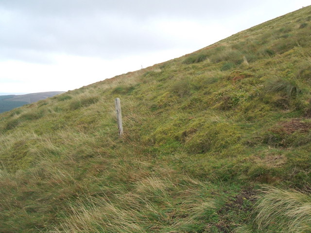 Ancient fence posts on Hedgehope Hill - geograph.org.uk - 1507873