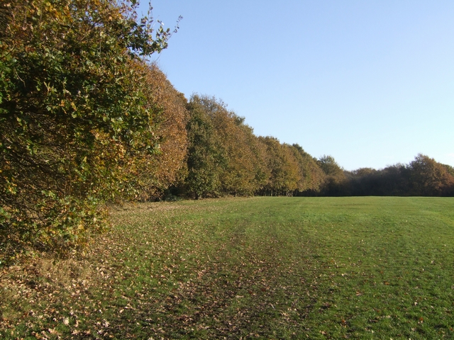File:Autumn in Rough Wood Nature Reserve - geograph.org.uk - 614716.jpg