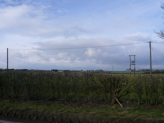 File:B6417 View showing Farmland and Overhead Cables. - geograph.org.uk - 702666.jpg