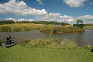 How to get to Bagworth Heath Woods with public transport- About the place