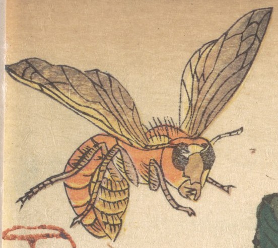 File:Bee art detail, from- MET DP121468 (cropped).jpg