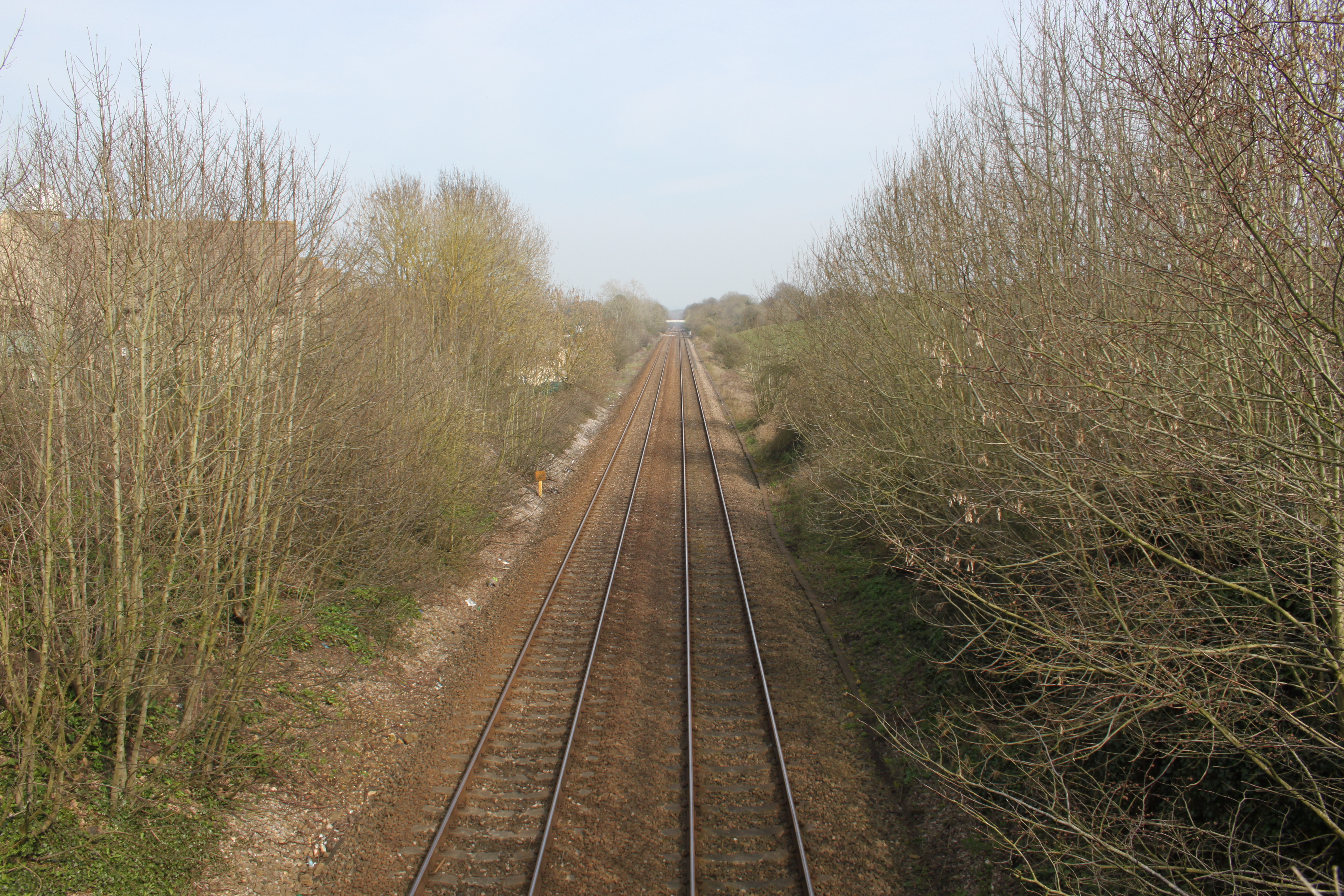 Bruton railway cutting