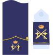 Divisas de general de división (Ejército del Aire)
