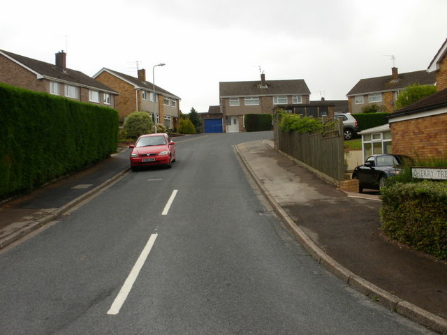 File:Cherry Tree Close - geograph.org.uk - 1443890.jpg