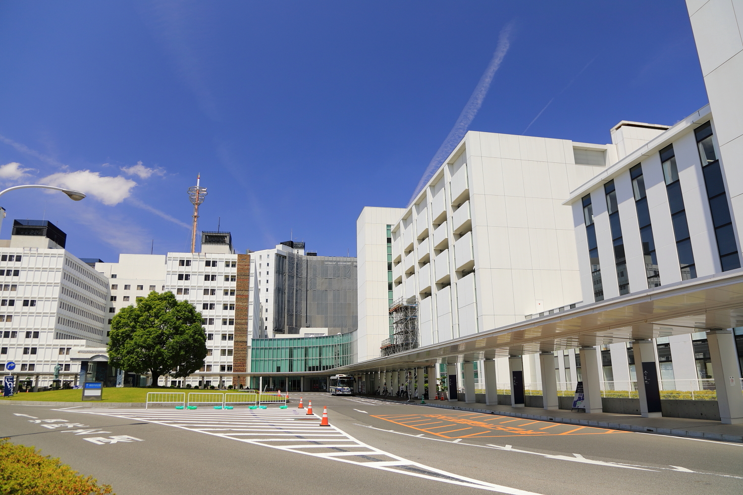 医科 病院 外来 大学 藤田