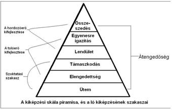 File:Díjlovaglás.JPG