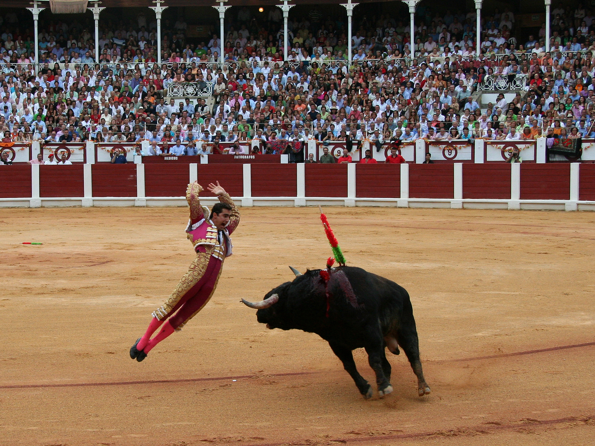 El Fandi' advierte del error de haber descuidado al espectador de las  corridas de toros - Libertad Digital - Cultura