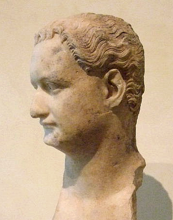 File:Domitian capitoline profile left.png