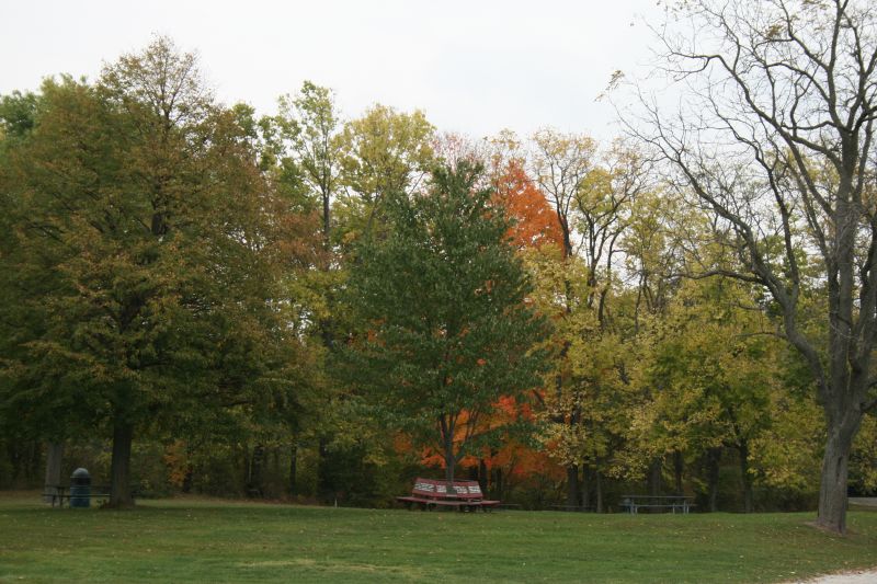 File:Eagle Creek Park in the Fall.jpg