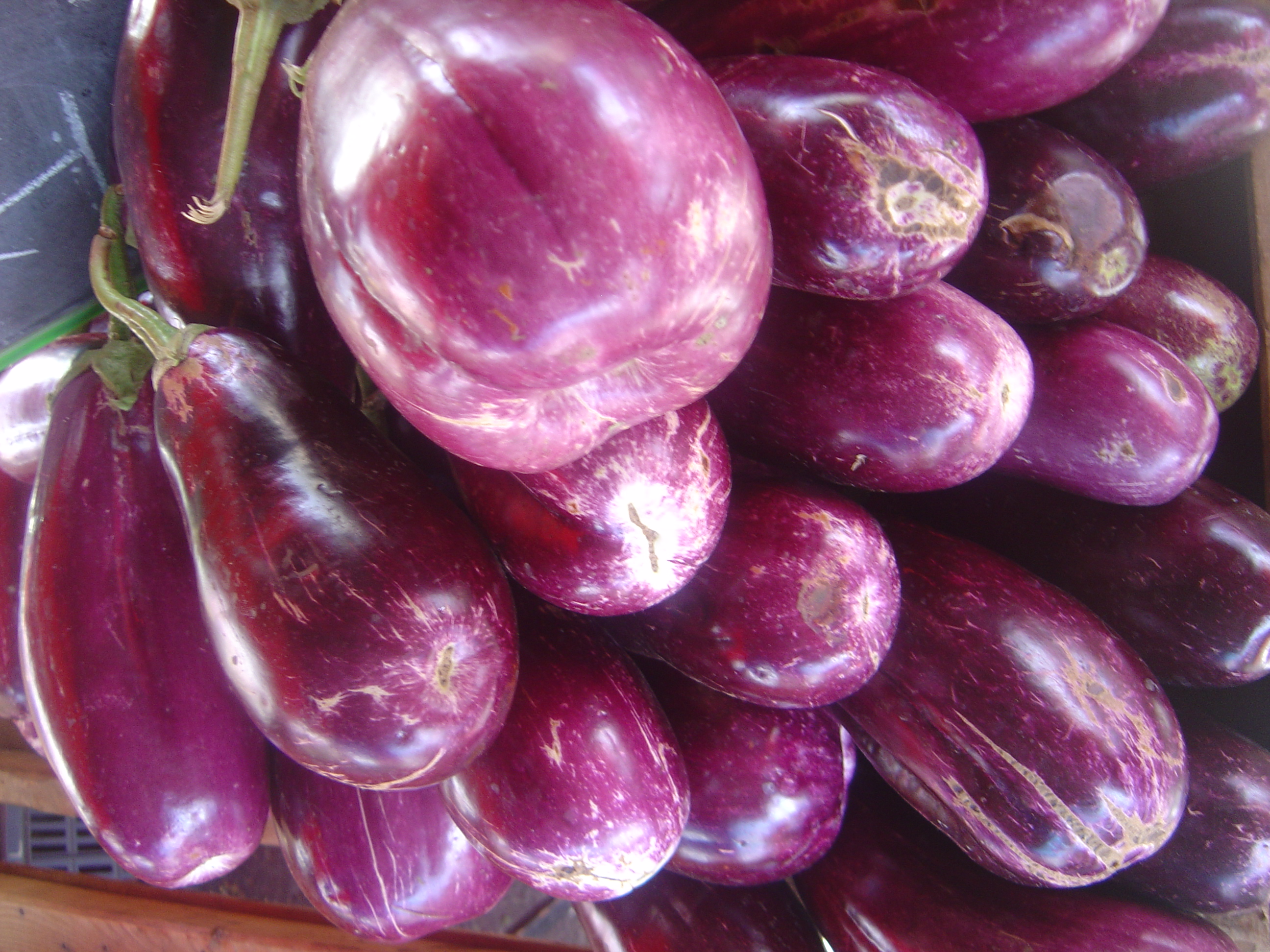 Eggplant (color) - Wikipedia