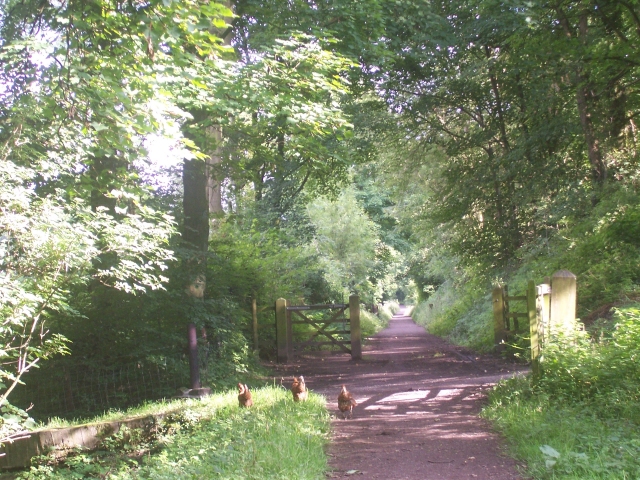 Footpath near Thornhill - geograph.org.uk - 1213237