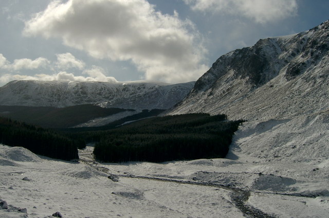 File:Glen Doll, forestry in the snow - geograph.org.uk - 477221.jpg